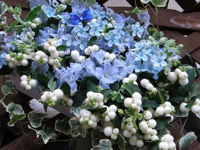 f0007380_186417.jpg