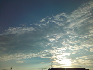 f0035387_9543994.jpg
