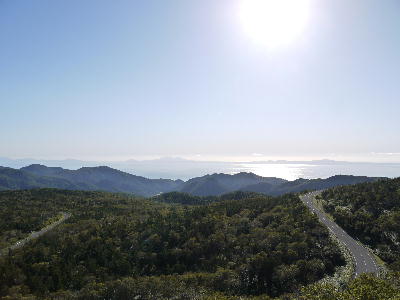 c0171889_1529814.jpg