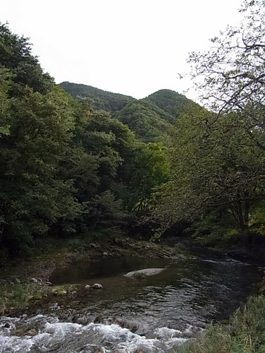 葉っぱがえし_f0236291_2344322.jpg