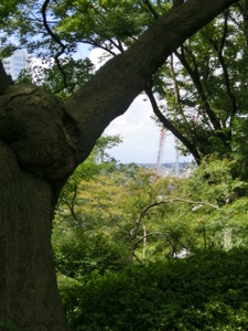 d0312092_19343754.jpg