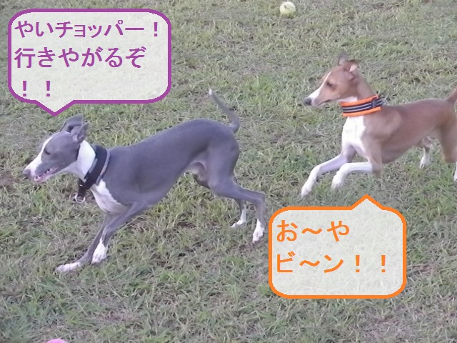 a0284997_22163411.jpg