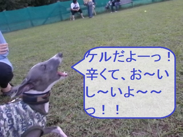 a0284997_2255824.jpg