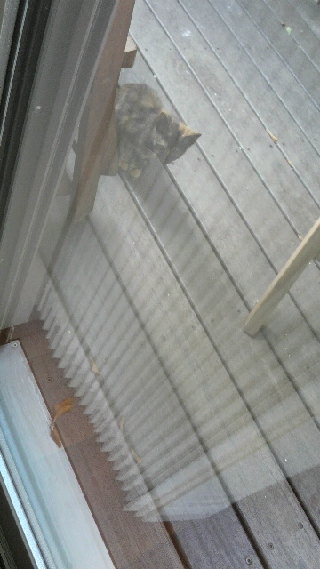 c0123400_11533436.jpg