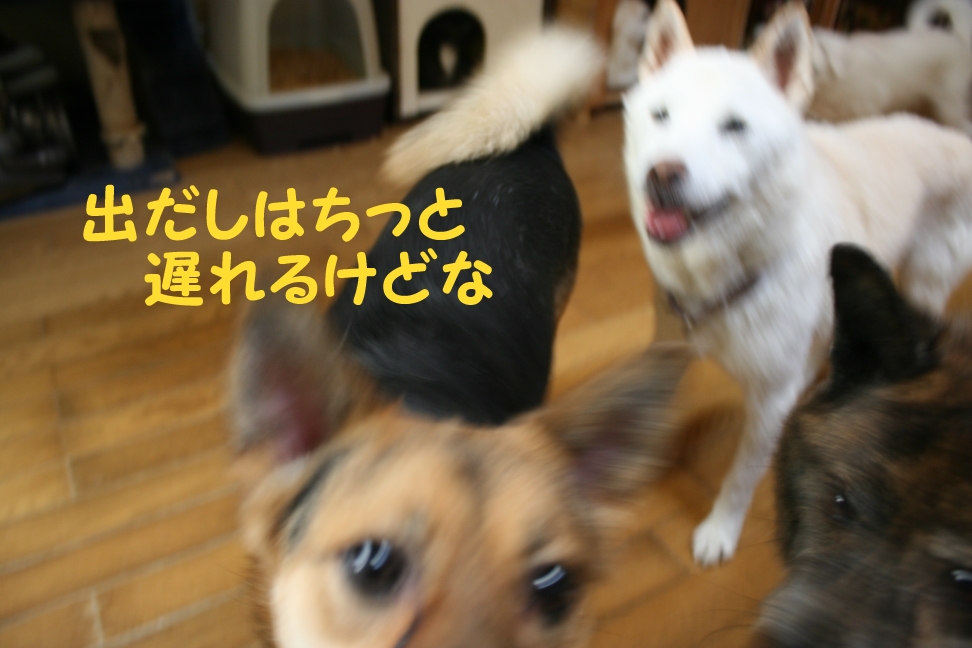 f0242002_20334514.jpg