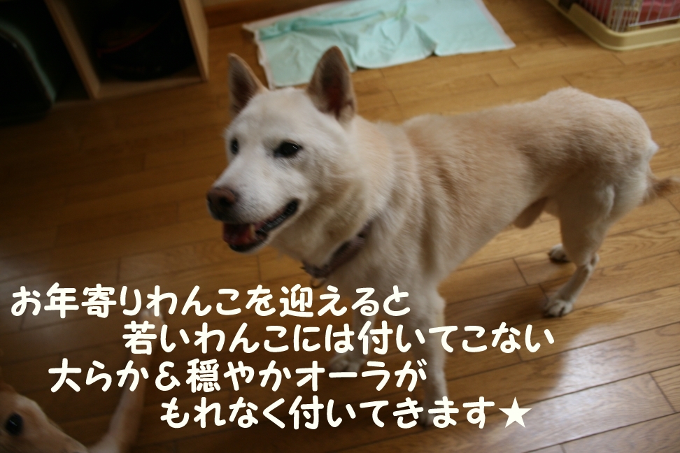 f0242002_20344228.jpg
