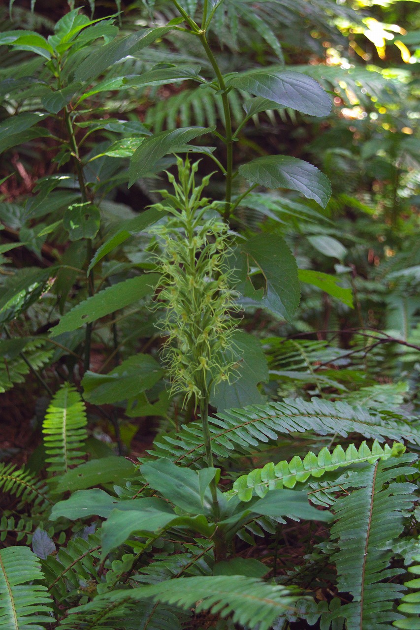 b0174905_724347.jpg