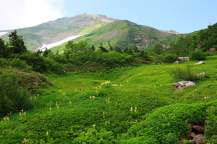 a0148606_22122997.jpg