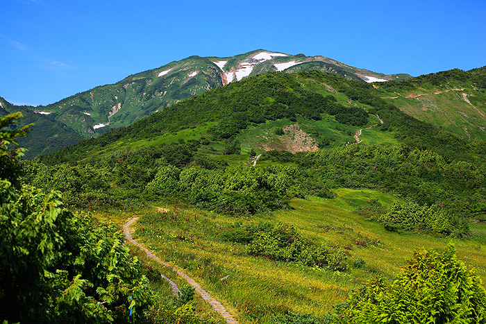 a0148606_22205349.jpg