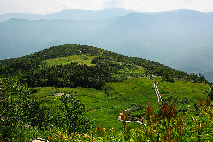 a0148606_22214499.jpg