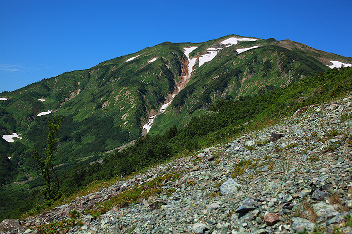 a0148606_22232552.jpg