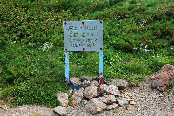 a0148606_22275238.jpg