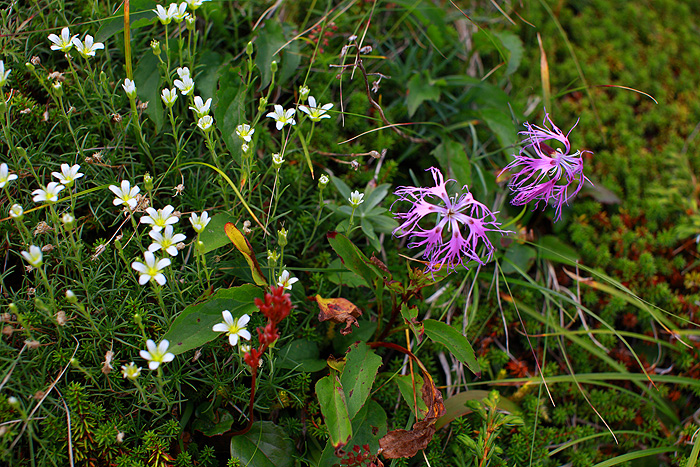 a0148606_22292592.jpg