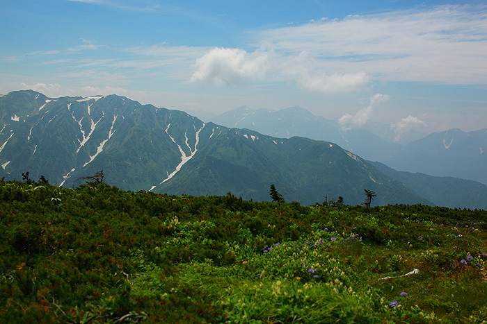 a0148606_22313437.jpg