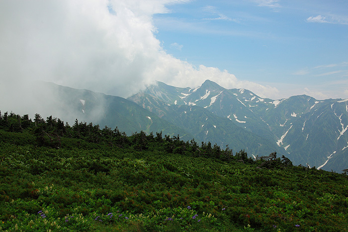 a0148606_2231598.jpg