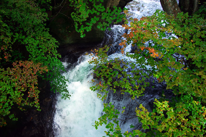 a0263109_20241616.jpg