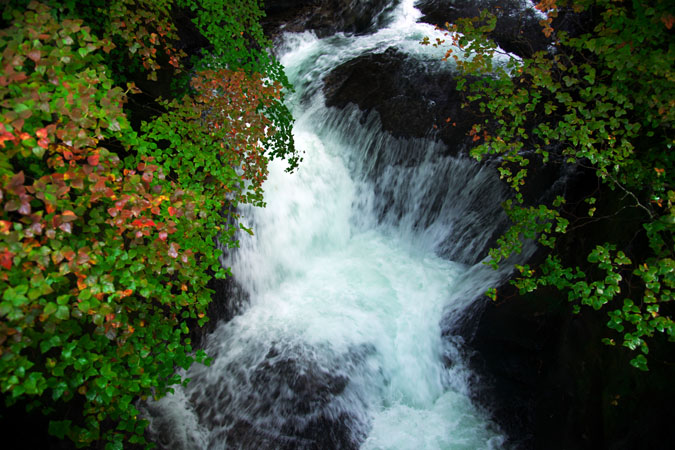 a0263109_20243992.jpg