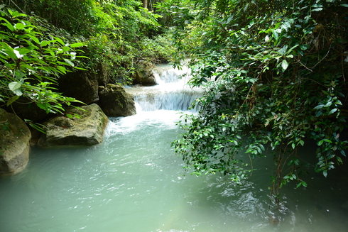 b0308409_17573776.jpg