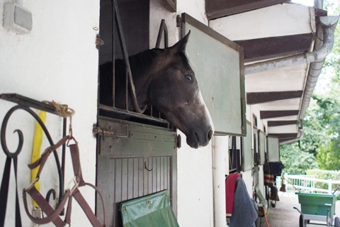 シャンティイの小林厩舎へ！_d0063314_058969.jpg