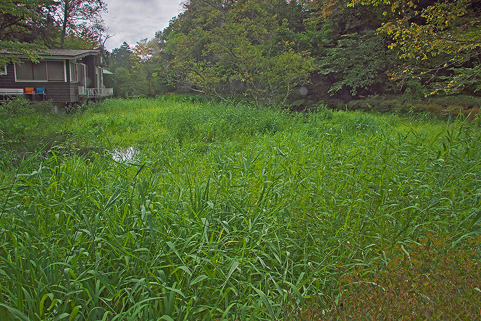 b0010915_21461965.jpg