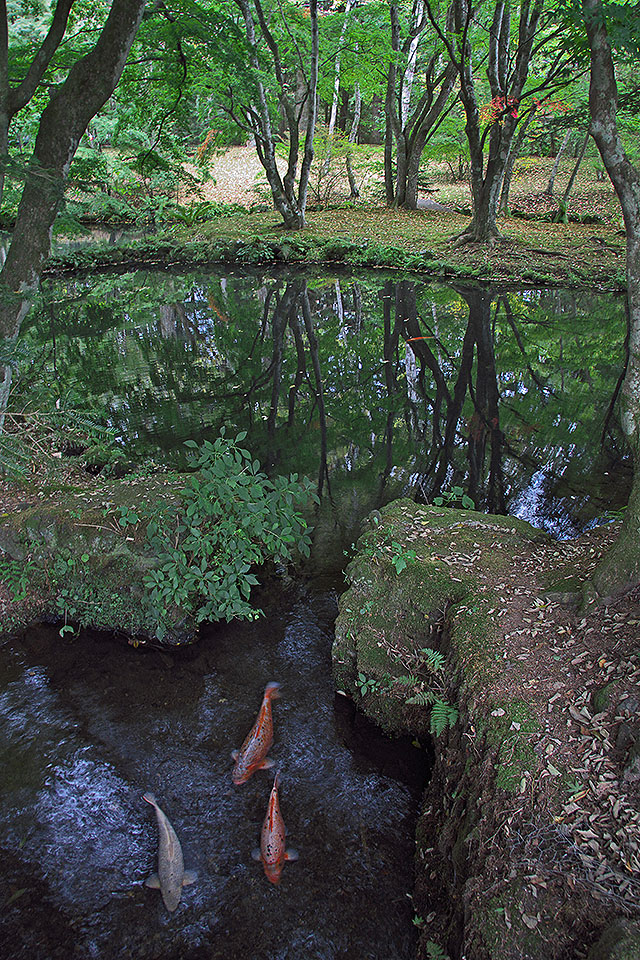 b0010915_21471711.jpg