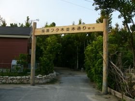 沖縄の旅2_a0284626_23421247.jpg