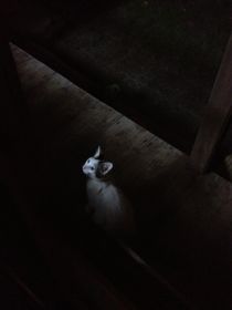 沖縄の旅2_a0284626_23585429.jpg