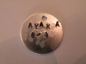 c0174330_981597.jpg