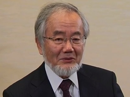 大隅良典さんはオートファジーの研究で日本人ノーベル賞の受賞候補です。_f0229730_2038337.jpg
