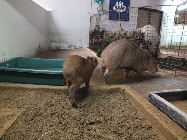 久々の草津温泉♪_a0179837_1317787.jpg