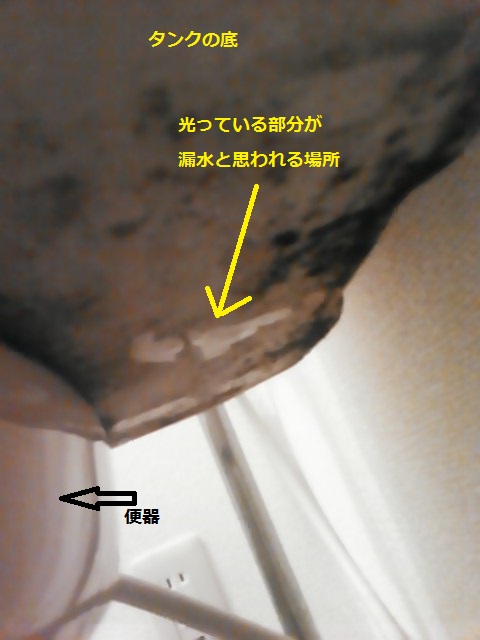 緊急作業_f0031037_20321751.jpg