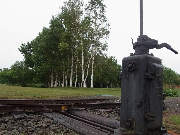 a0143839_21512697.jpg