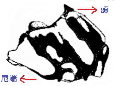 c0172139_132287.jpg