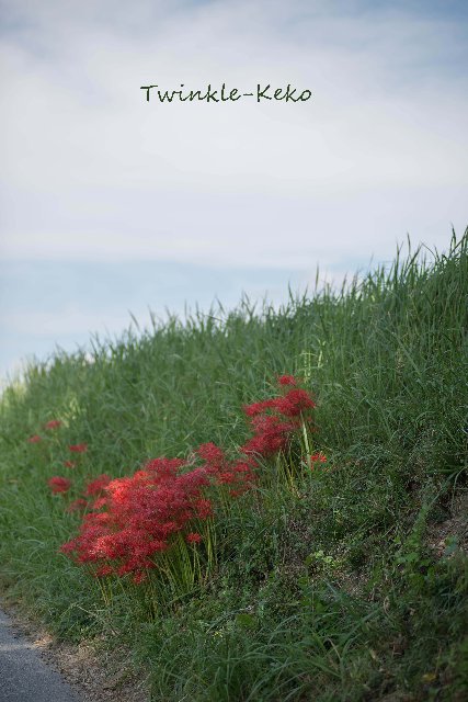 f0158043_21212381.jpg