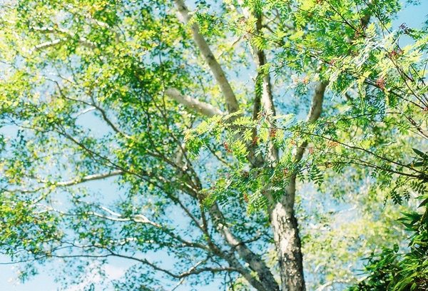 c0228945_2071839.jpg