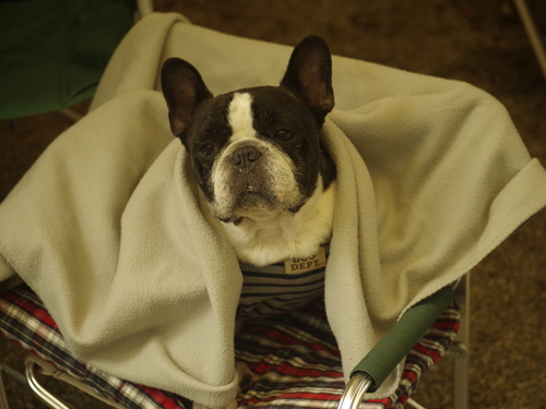 フレブル キャンプ ~キャンプアンドキャビンズ~後編_e0161547_10171719.jpg