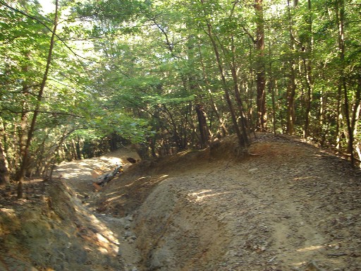 a0237349_15312056.jpg