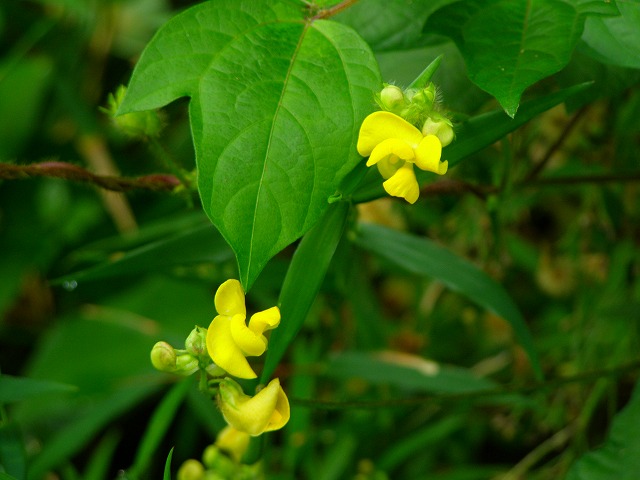a0018655_2014653.jpg