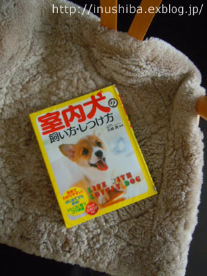 犬の本【室内犬の飼い方・しつけ方】_a0286855_9544656.jpg