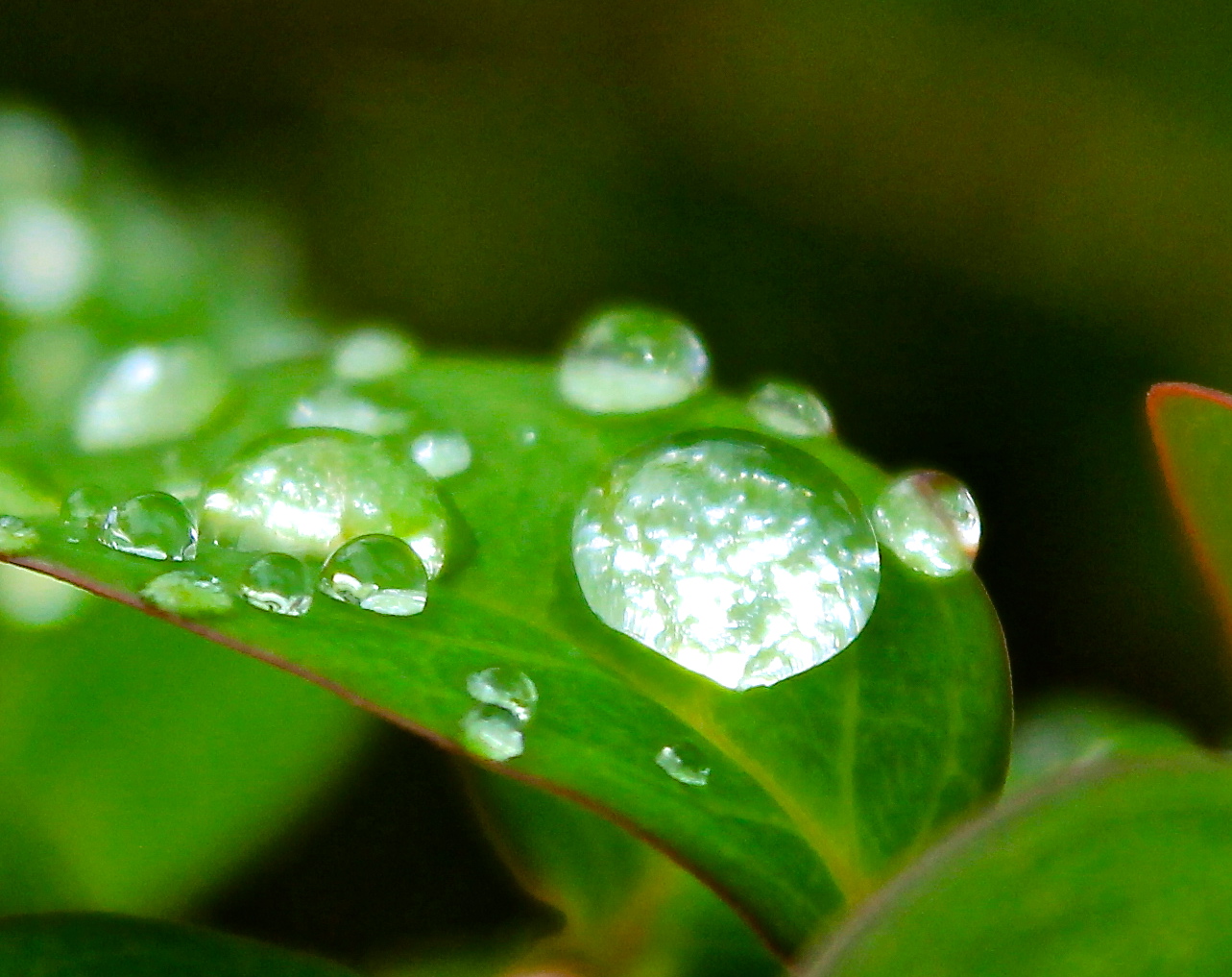 雨の昼下がり … !!_a0248459_19265446.jpg