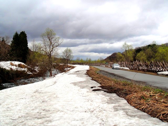 c0119160_20512244.jpg
