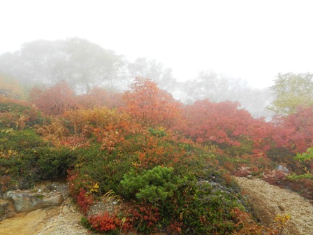 鮮やかな紅葉の乗鞍岳。_d0226767_22333860.jpg