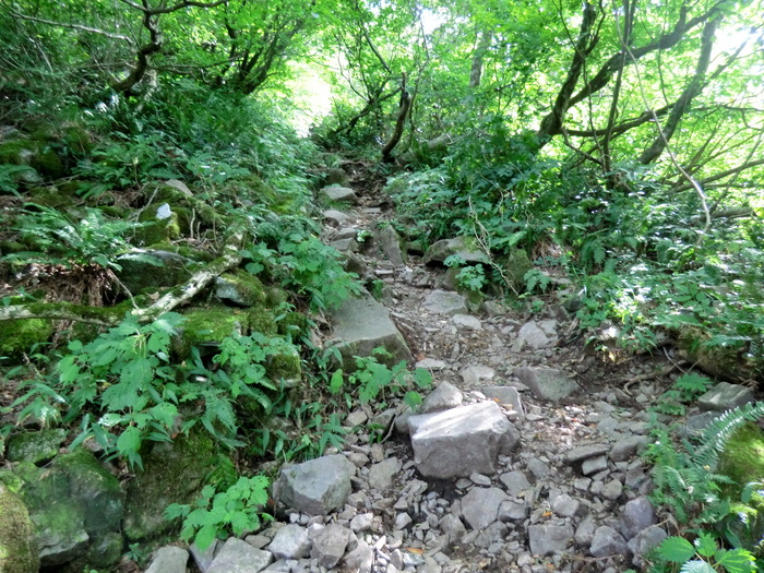 b0185573_150742.jpg
