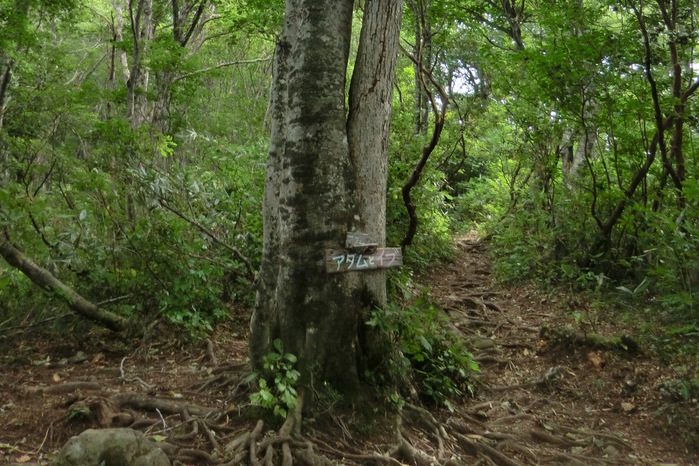 b0185573_158799.jpg