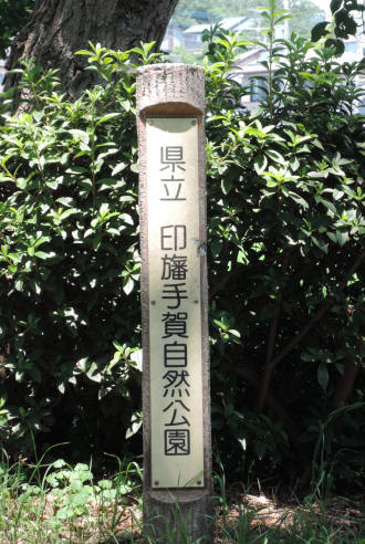 わが町の遊歩道_e0200879_11271234.jpg