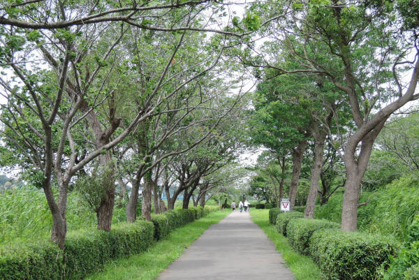 わが町の遊歩道_e0200879_11292119.jpg