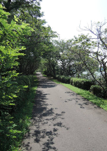 わが町の遊歩道_e0200879_11295880.jpg