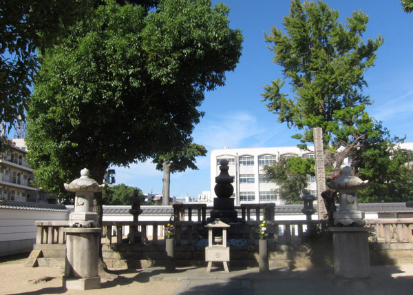 真光寺 （一遍上人・寺宗の本山）_a0045381_873530.jpg