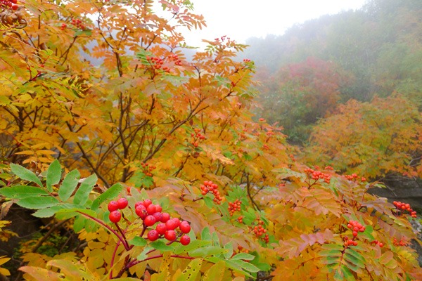 １０月４日、　　その２　　「御岳登山」　特集！_a0130586_18322048.jpg