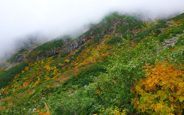 １０月４日、　　その２　　「御岳登山」　特集！_a0130586_1836249.jpg